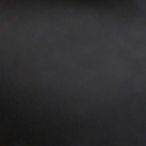 Meet your Posher, Kendyl